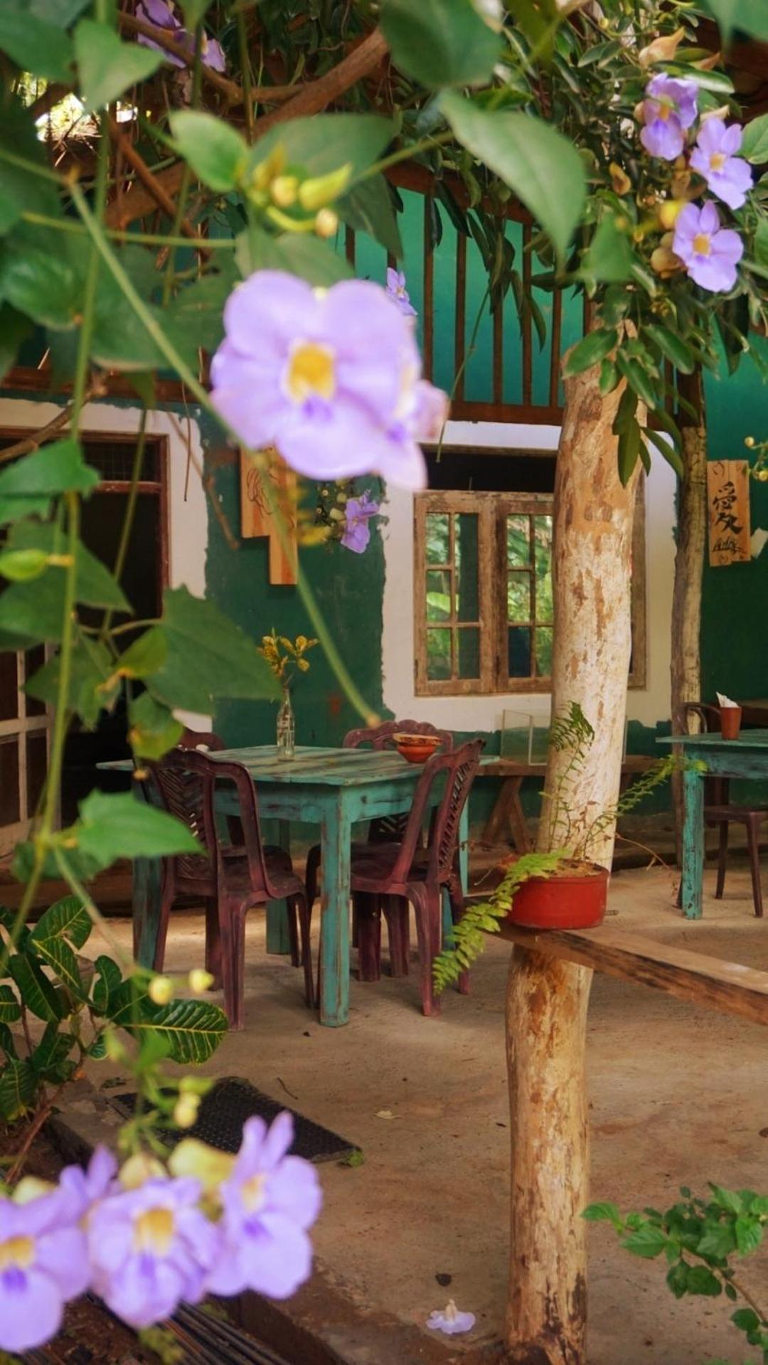 فندق Sigiri Liya Rest سيغيرِيا المظهر الخارجي الصورة